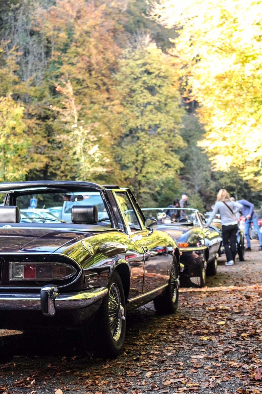 Sunday afternoon drive Sunday afternoon drive